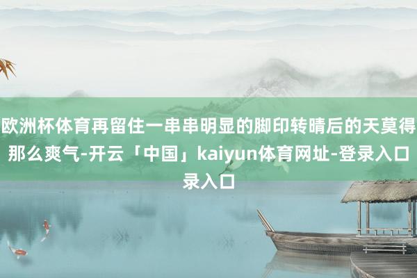 欧洲杯体育再留住一串串明显的脚印转晴后的天莫得那么爽气-开云「中国」kaiyun体育网址-登录入口