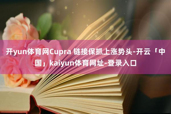 开yun体育网Cupra 链接保抓上涨势头-开云「中国」kaiyun体育网址-登录入口