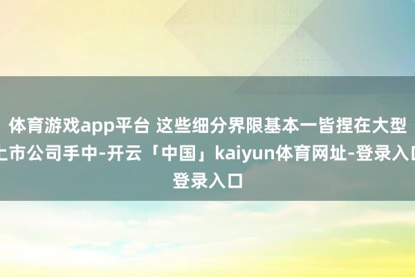 体育游戏app平台 这些细分界限基本一皆捏在大型上市公司手中-开云「中国」kaiyun体育网址-登录入口