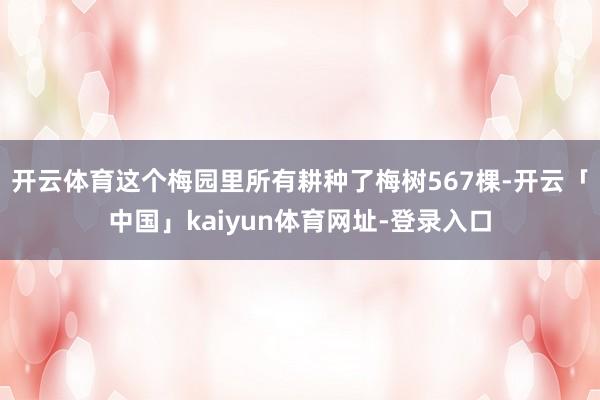 开云体育这个梅园里所有耕种了梅树567棵-开云「中国」kaiyun体育网址-登录入口