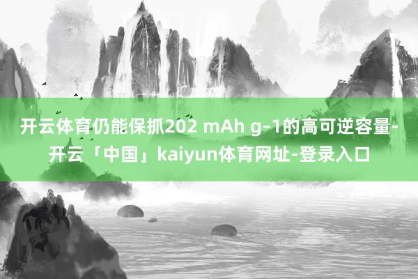 开云体育仍能保抓202 mAh g–1的高可逆容量-开云「中国」kaiyun体育网址-登录入口
